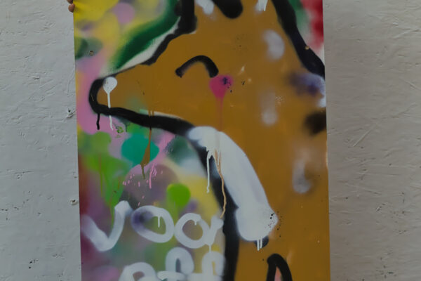 20250927 Art Line 203 Graffiti event Roermond41