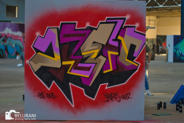 20250928 Art Line 203 Graffiti event Roermond50