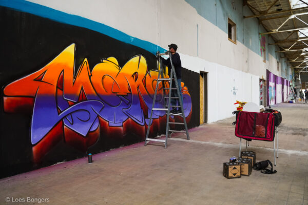 Artlane203 (172)