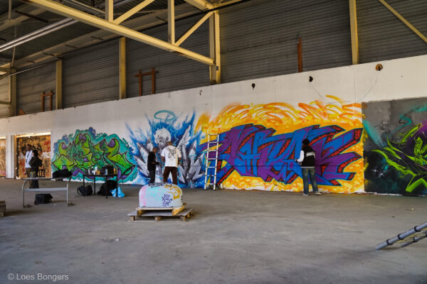 Artlane203 (201)